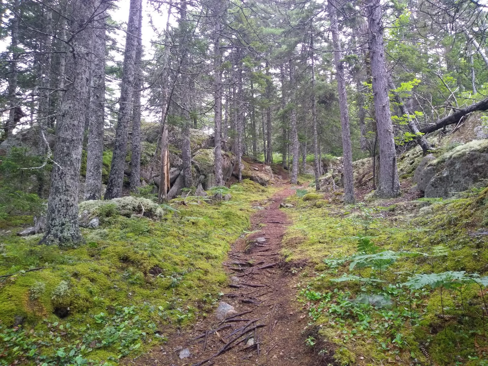 Baker Hill (Sullivan) and Schoodic Head (Acadia NP)