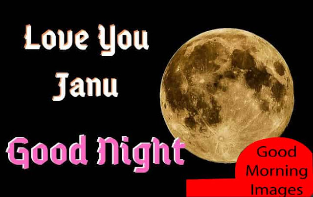 Good Night Love You Janu Good Night Love You Janu