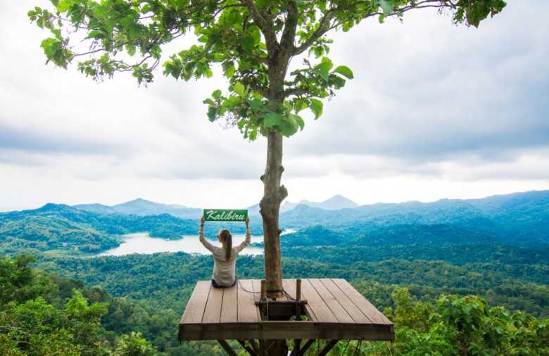 Image result for Desa Wisata Kalibiru