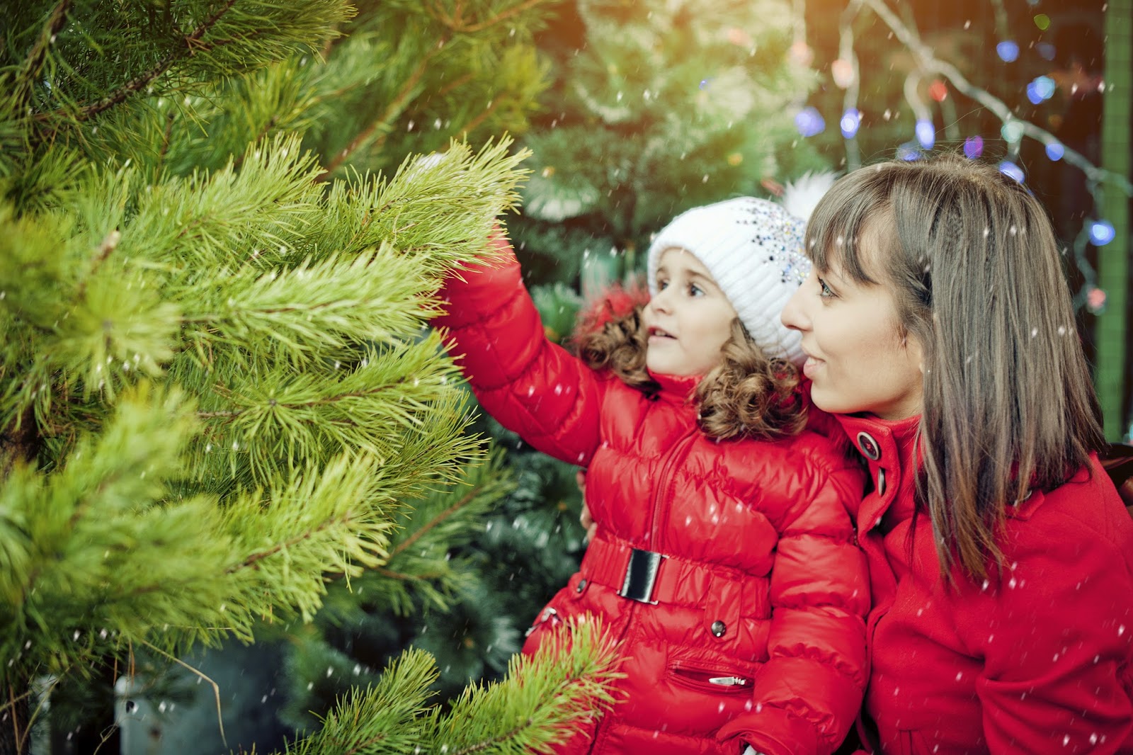 новогодние желания. елка живая. новогодние фильмы для всей семьи. новый год семья. новый год семья.