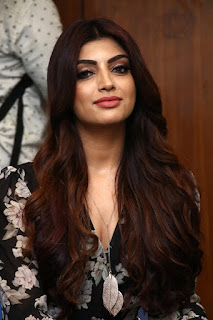 Akanksha Puri Photos at Action Movie Press Meet Function