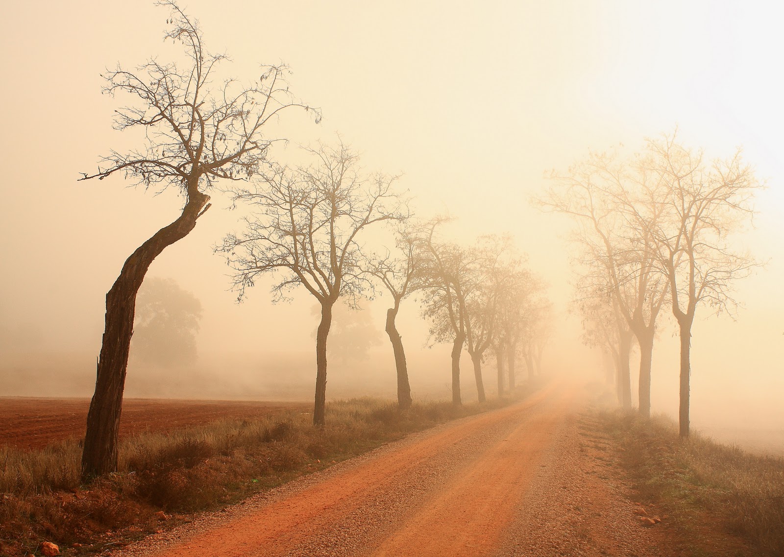 Cogito ergo sum Corral de Almaguer