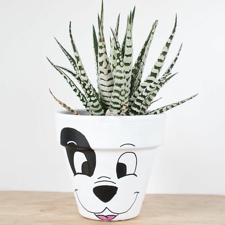 A collection of cute and unique flower pots, should I buy them all