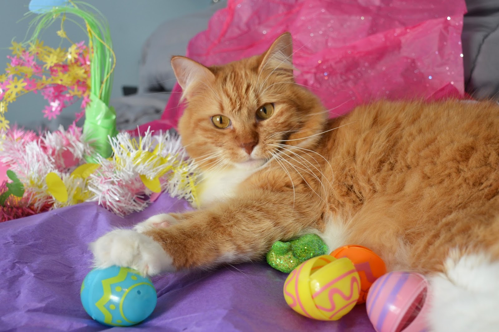 (But mostly they're just chewing on the decorations)