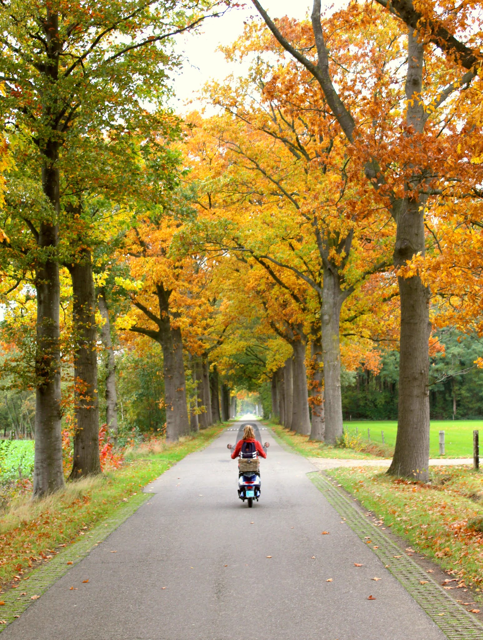 Touren door de Achterhoek met een elektrische scooter van Zoefff