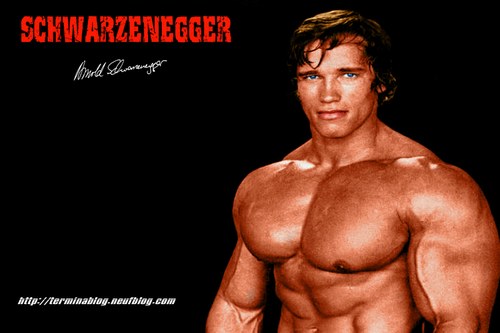 arnold-schwarzenegger-chest-workout-routine.jpg