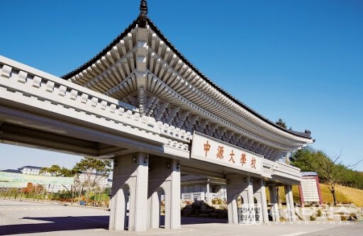 학교가 망해도 걱정없는 대학 - 짤티비