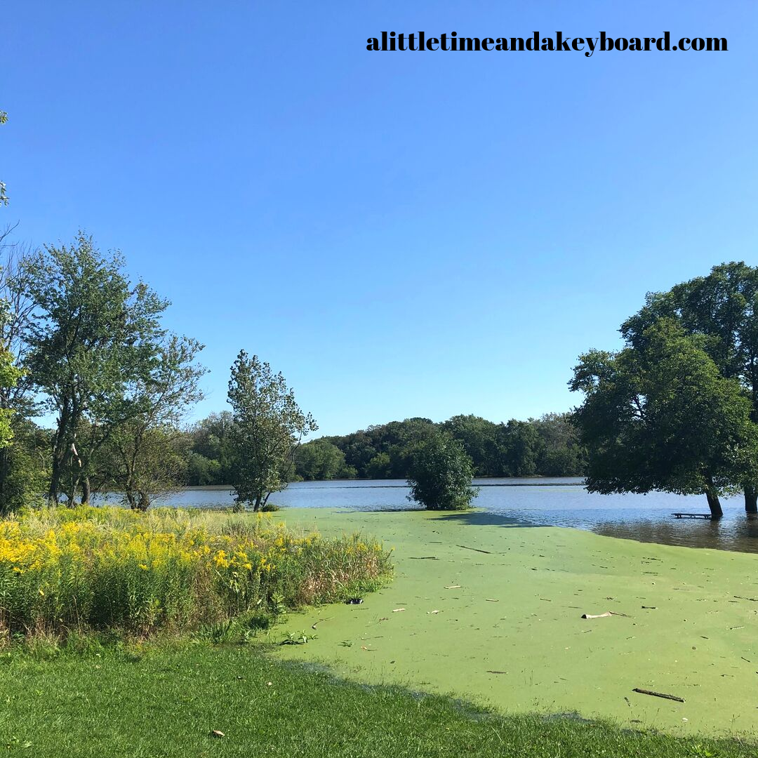 A Little Time and a Keyboard Skokie Lagoons Stunning Water Wonderland