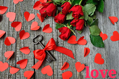Red Rose hd images With Love Photo Download 2020