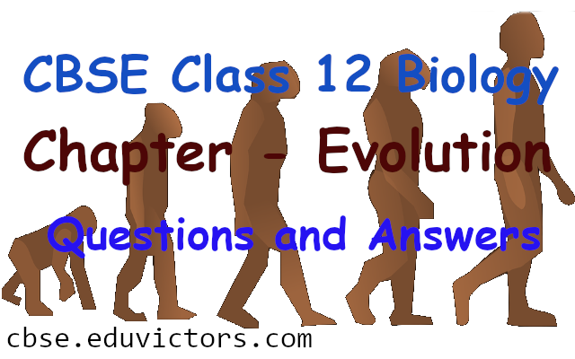 evolution assignment biology grade 12