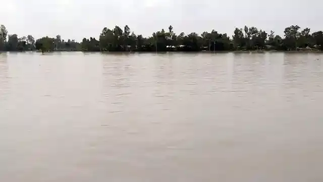 বকশীগঞ্জে বন্যায় ৪ হাজার হেক্টর জমির রোপা আমন পানির নিচে!