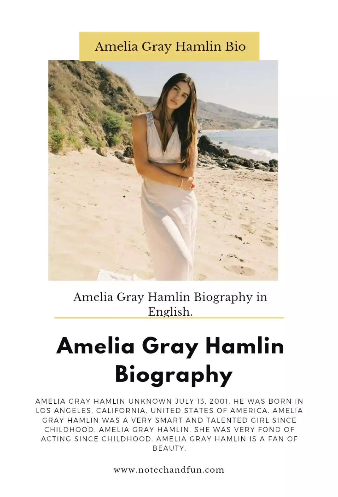 Amelia Gray Hamlin Biography