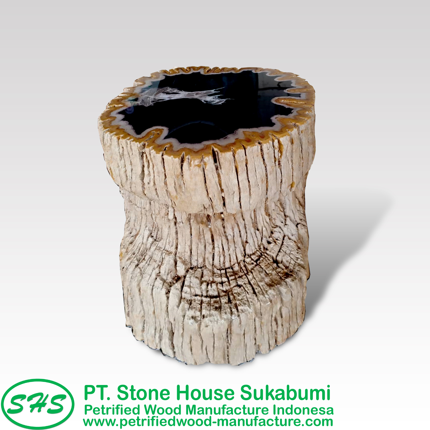 petrified wood from indonesia PT. Stone House