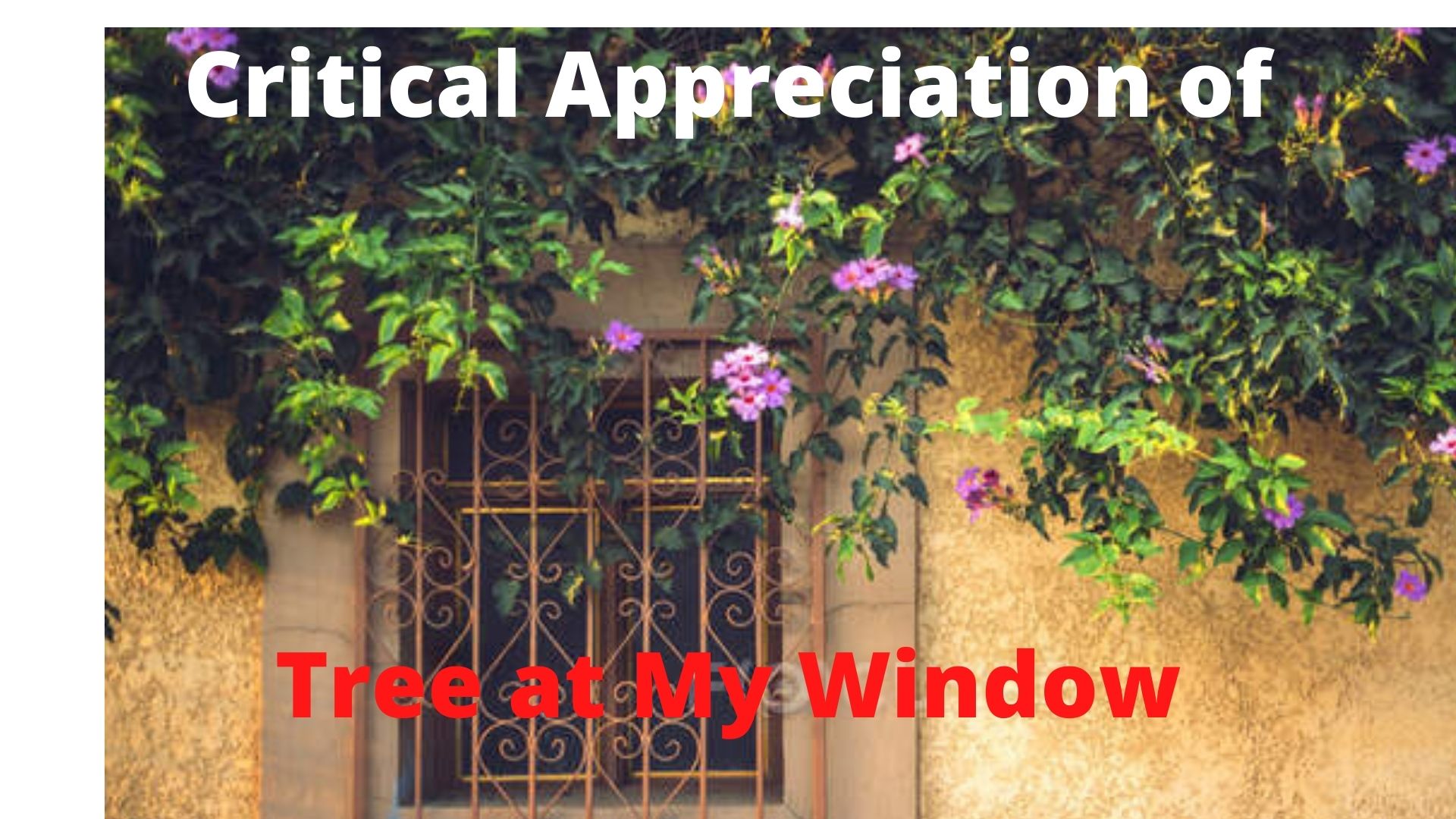 Critical Appreciation of Tree at My Window
