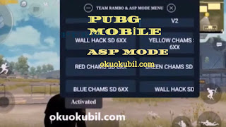 Pubg Mobile 0.19.0 ASP Mode Yeni Menu Magic Bullet Hilesi 2020