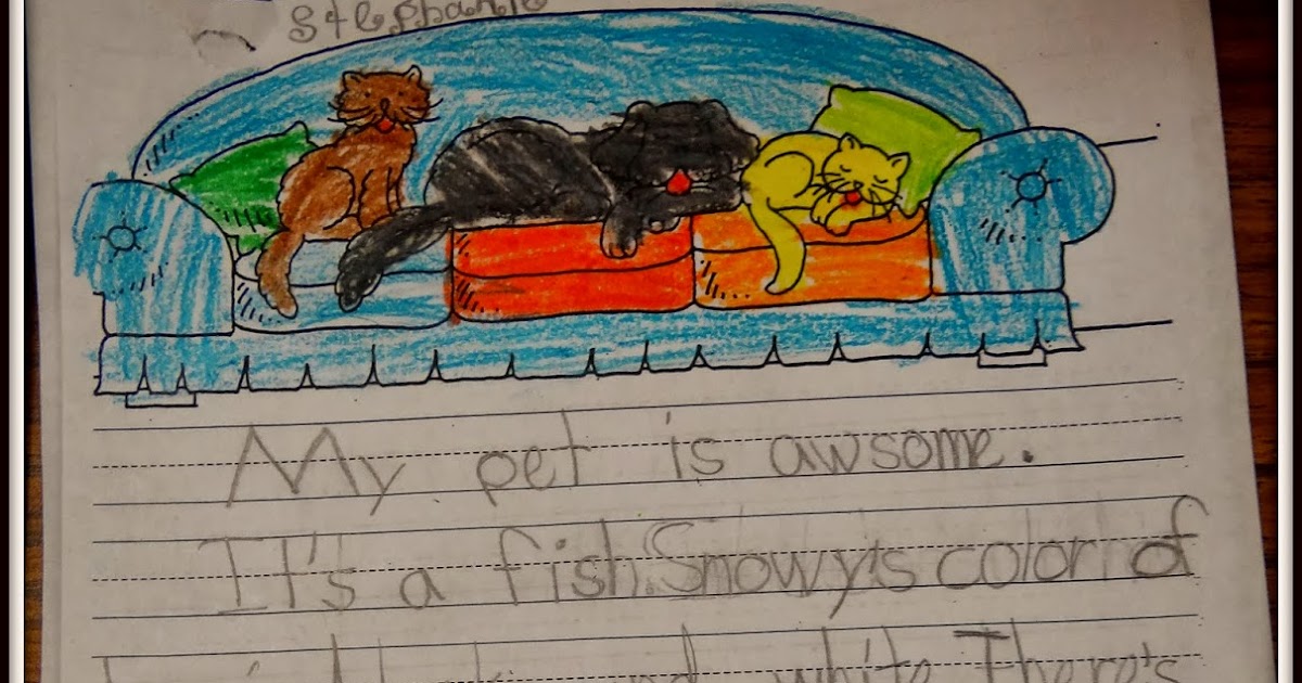 patties-classroom-reading-streets-tara-and-tiree-and-favorite-pets