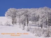 Casas rurales en Navarra (Agroturismo Mari Cruz). Ecoturismo rural . (portada facebook invierno)