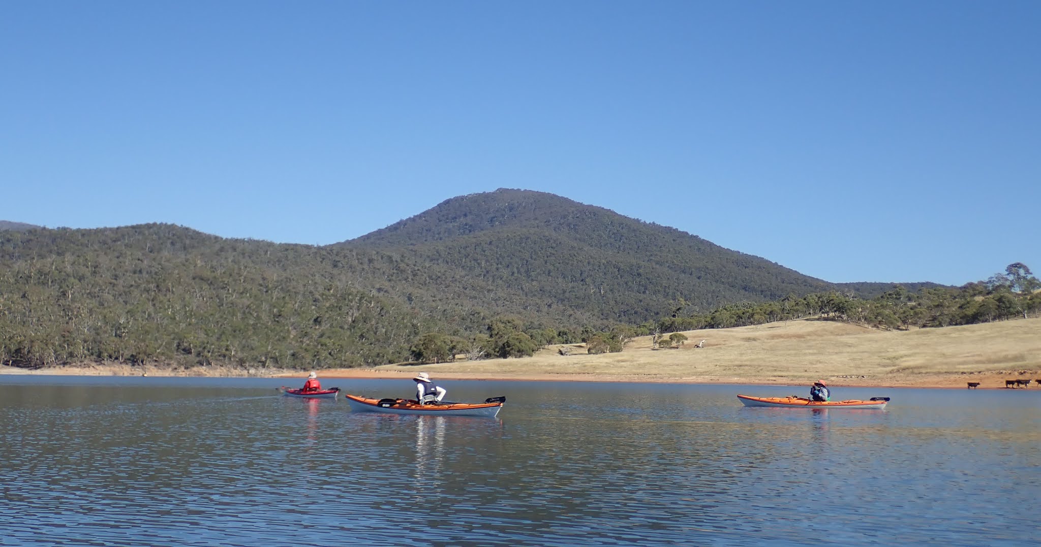 NB Aqualife Monday 18 January 2021 Lake Jindabyne Kalkite