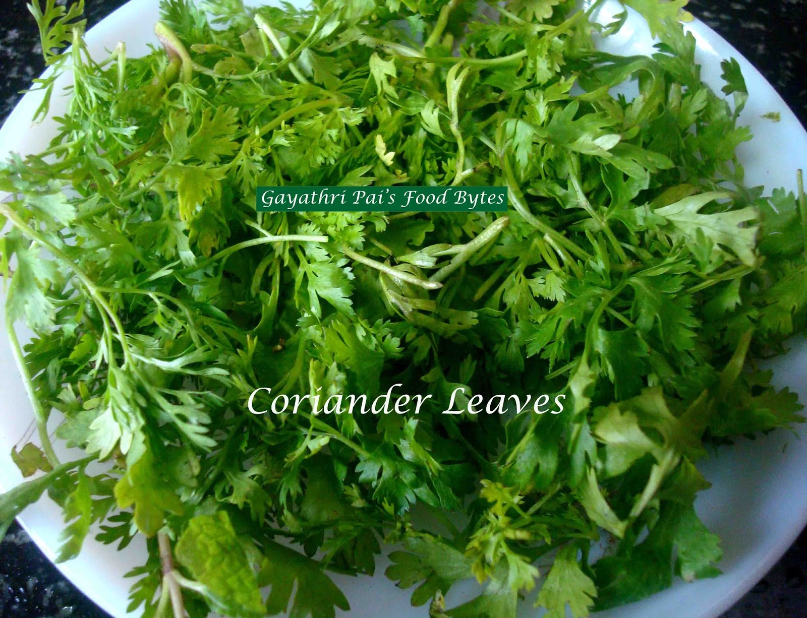 Gayathri Pai's Food Bytes Coriander LeavesRaw Mango Chutney.