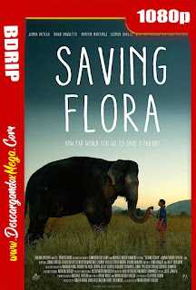 Saving Flora (2018) BDRip 1080p Latino