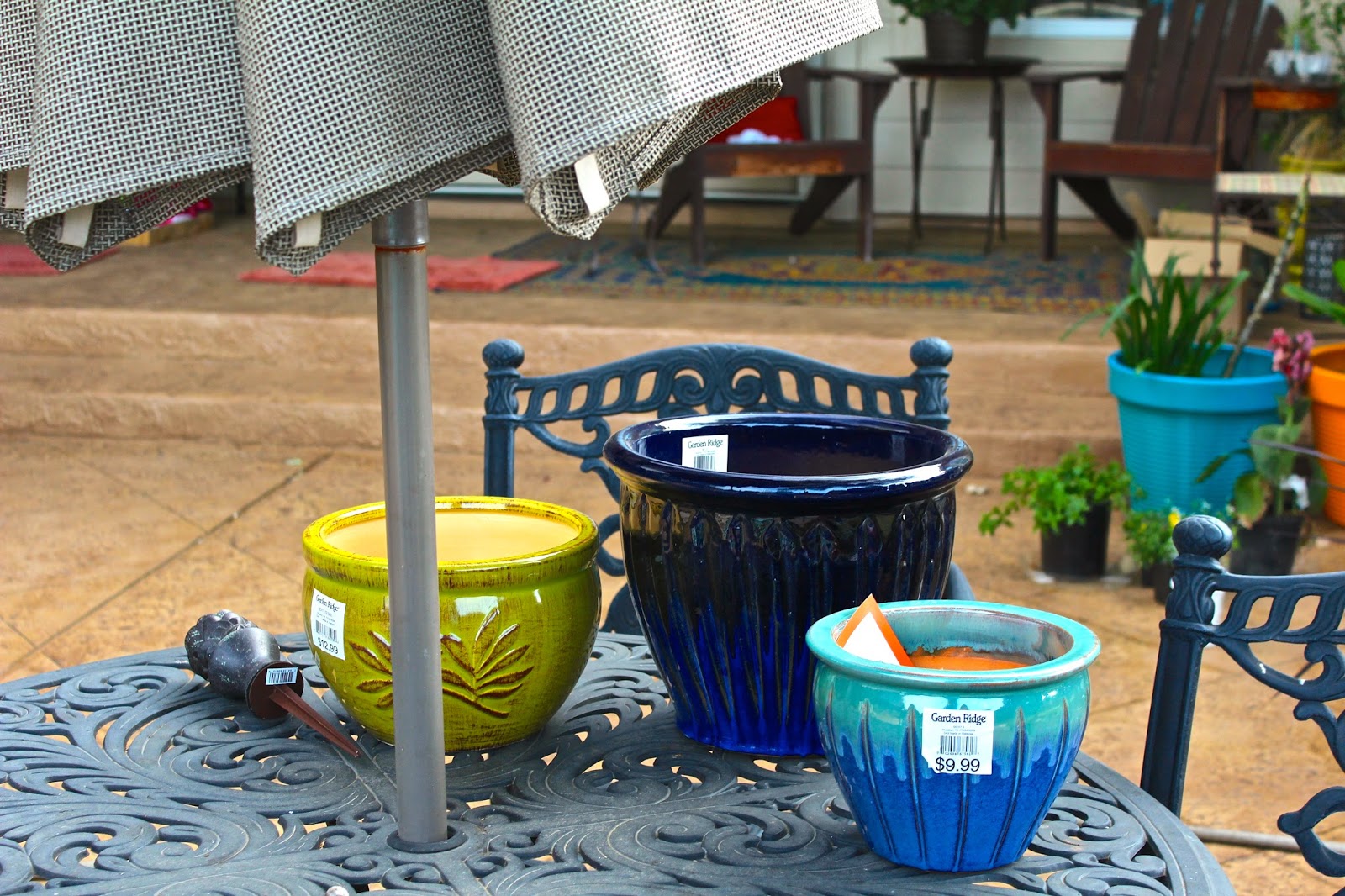 Sharing Nature's Garden: Time for garden container planting...