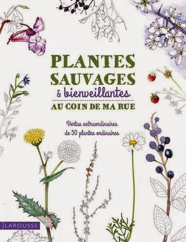 http://www.amazon.fr/Plantes-sauvages-coin-Adele-Nozedar/dp/2035898439