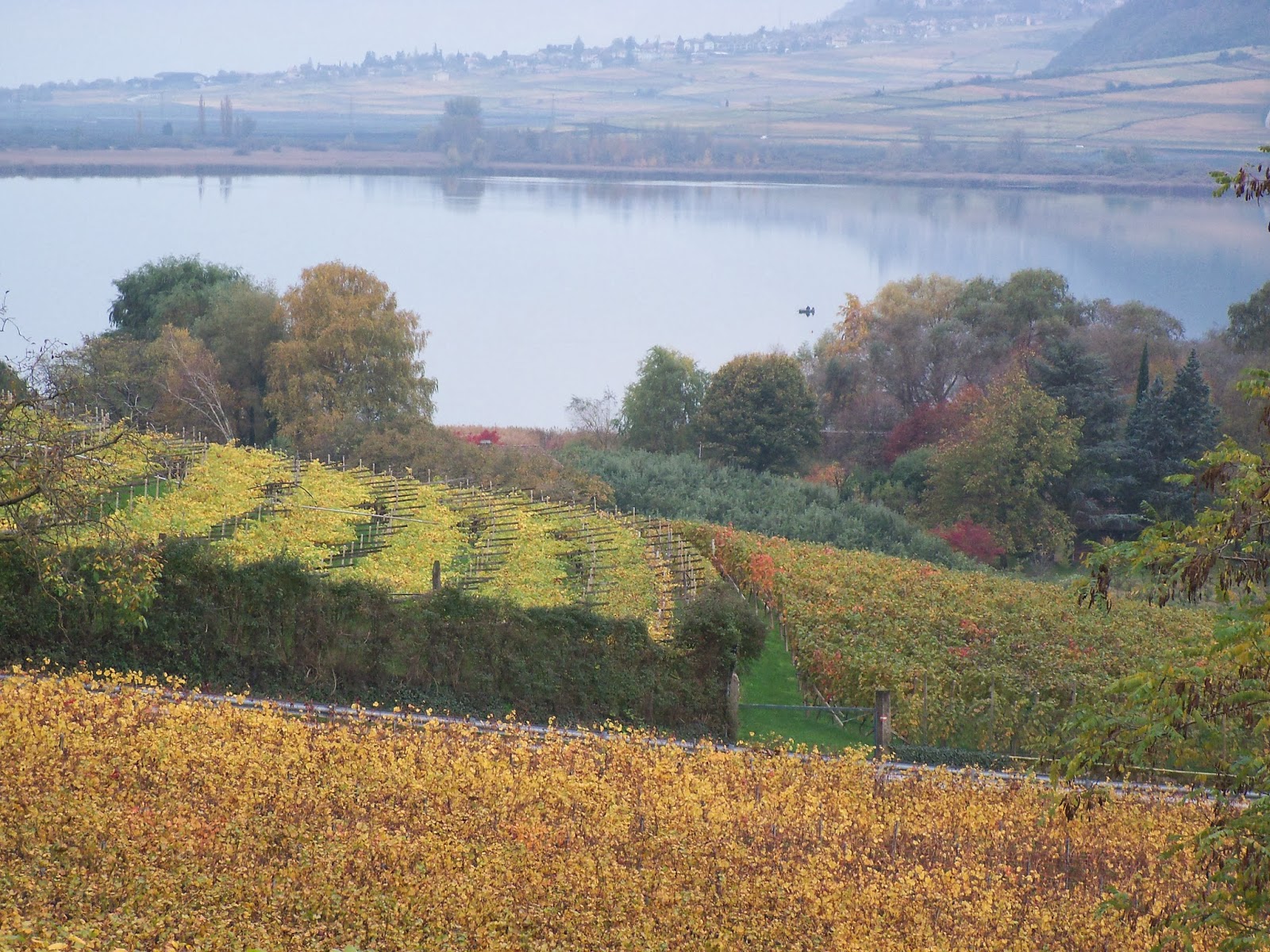 Lina Montan, una guida turistica con voi Lago di Caldaro in autunno