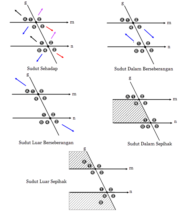 Sudut Pada Garis Yang Dipotong Garis Lain | Mikirbae.com