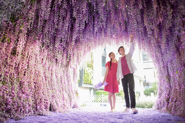 心靈療癒の夏 紫 在北角匯 花夏祭 以福岡紫藤花園為藍本 3 000呎紫色花海療癒仙境 多相 Lifenewshk 生活提案事務所