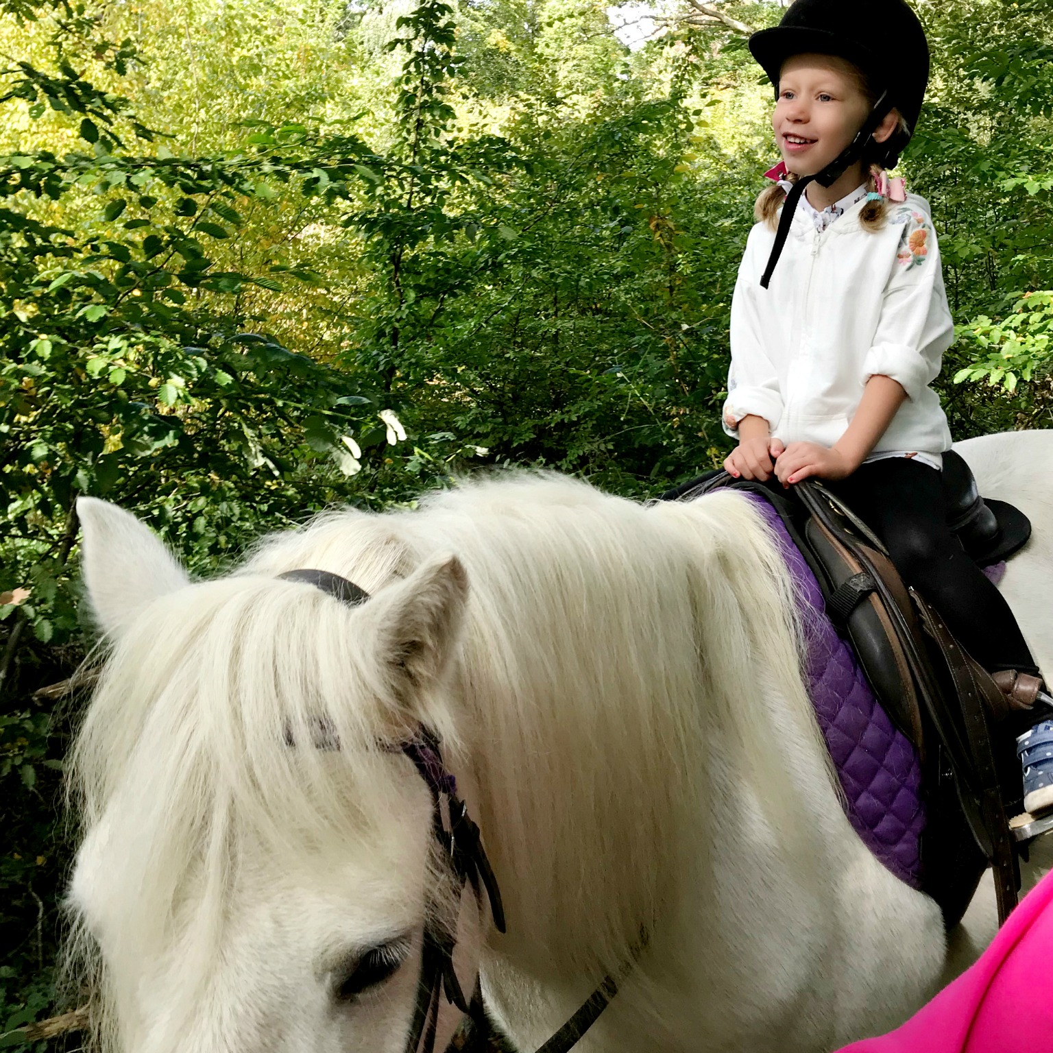 Lily's Birthday Trip Ruislip Park Stables Our Cherry Tree