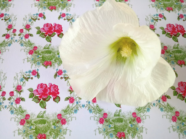 Composición floral para decorar, malva real natural