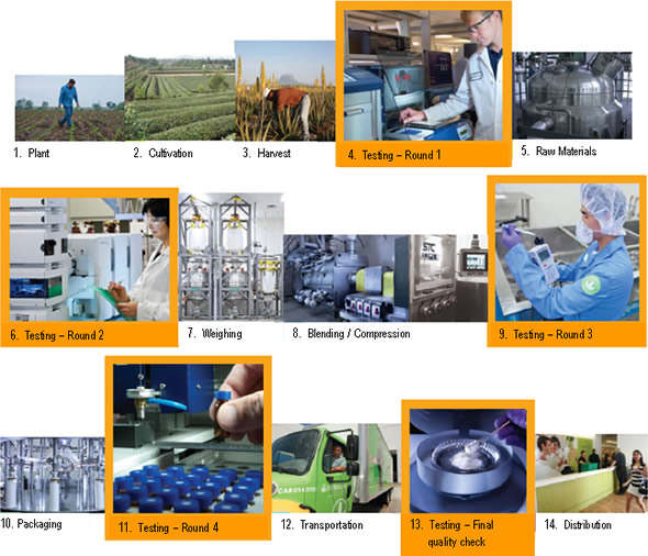 Herbalife Seed to Feed Program Nutritional Health & Wealth