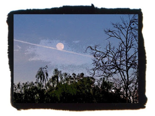 Bad Moon Rising: photo by Cliff Hutson