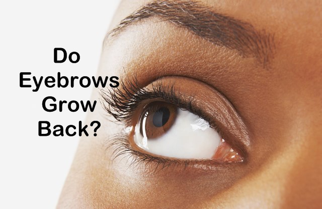 Do Eyebrows Grow Back