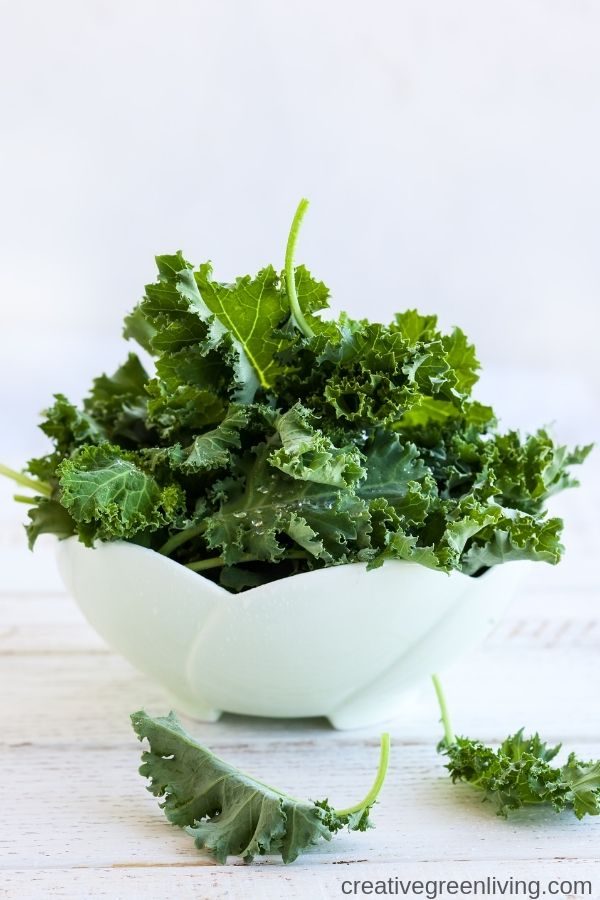 How to Make the Best Salt & Vinegar Kale Chips in Your Dehydrator
