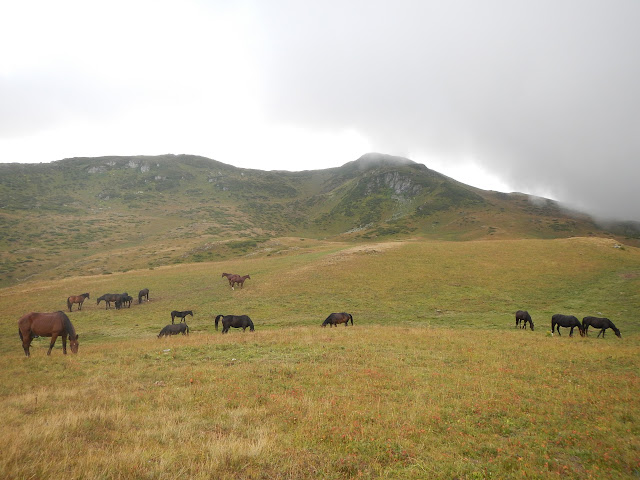 гора Табунная