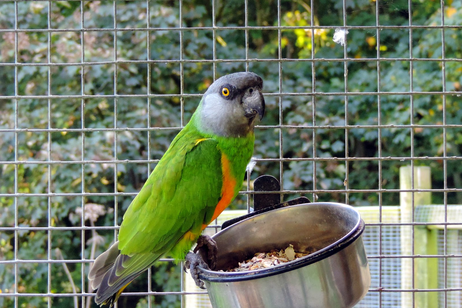 the-glebe-blog-galloway-wildlife-conservation-park