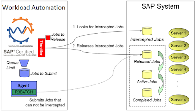 SAP HANA Tutorial and Material, SAP HANA Certification, SAP HANA Guides, SAP HANA Learning, SAP HANA Career