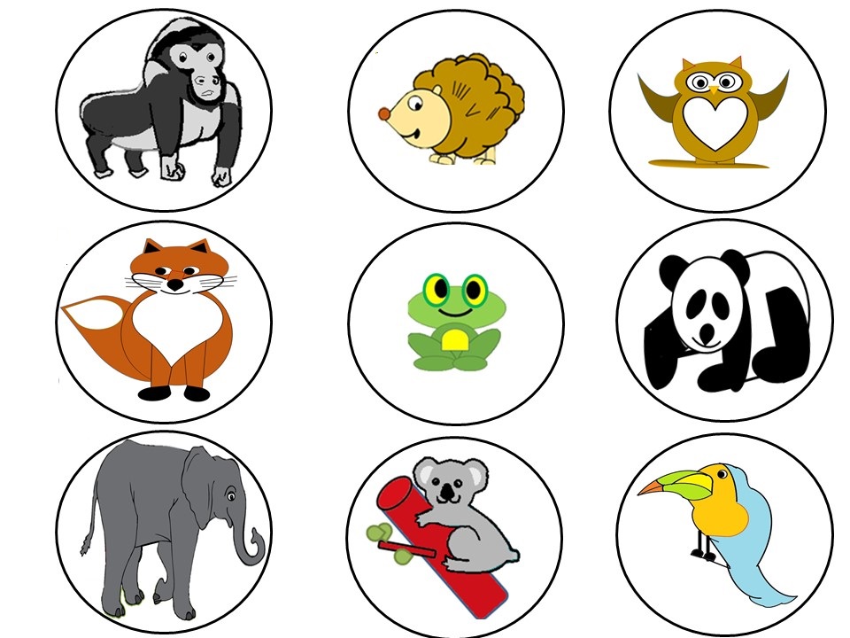 Reading2success: Where Do Animals Live Together - Just like people