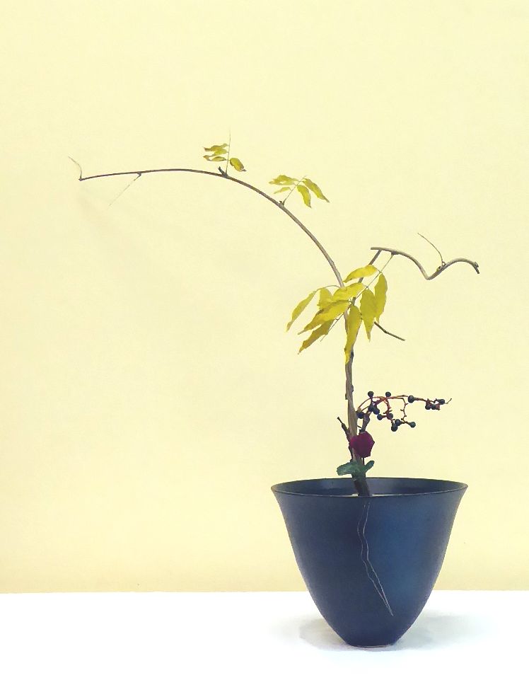 Kadō der Blumenweg Shōka shinpūtai