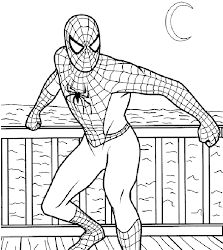 spiderman coloring pages spider sheet