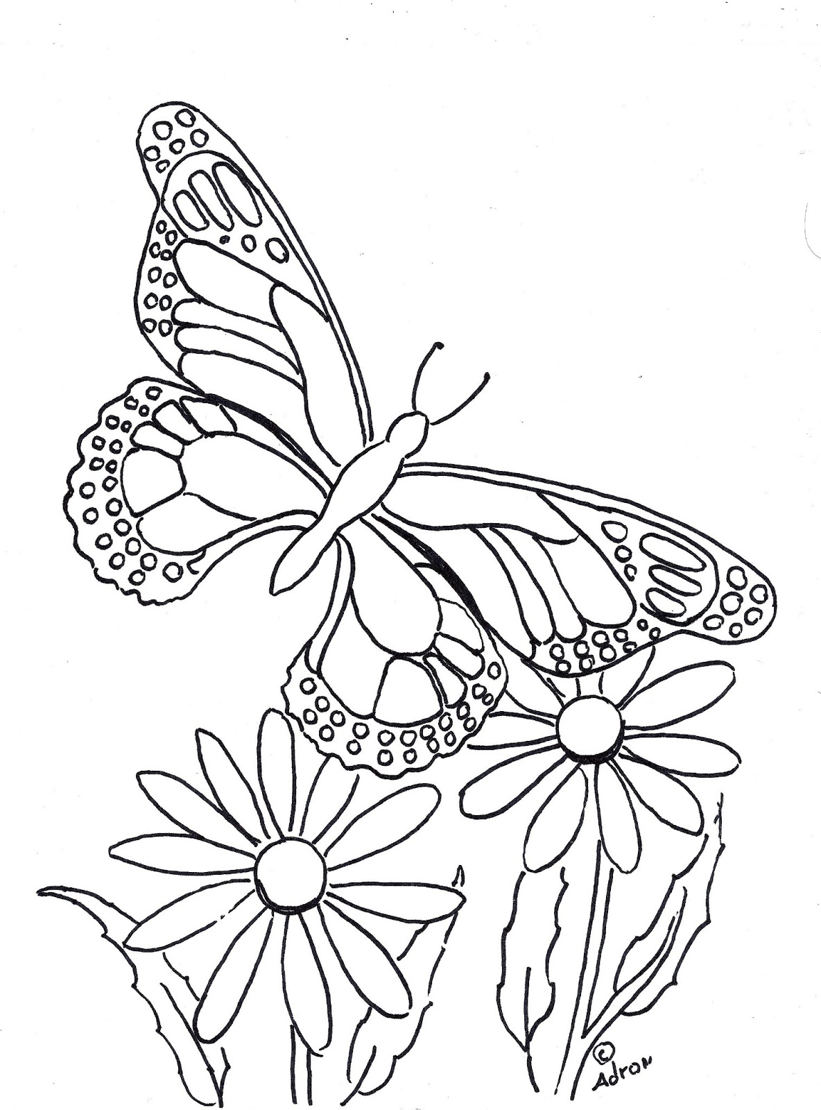 label butterfly coloring pages - photo #29