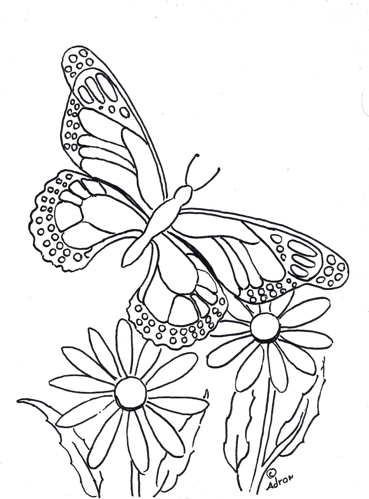 Coloring Pages For Kids By Mr Adron Butterfly Coloring Page To Print And Color