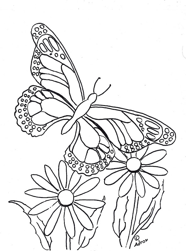 printable-butterfly-and-flower-coloring-pages-best-coloring-pages