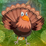 Games4King - G4K Modest Turkey Escape Game