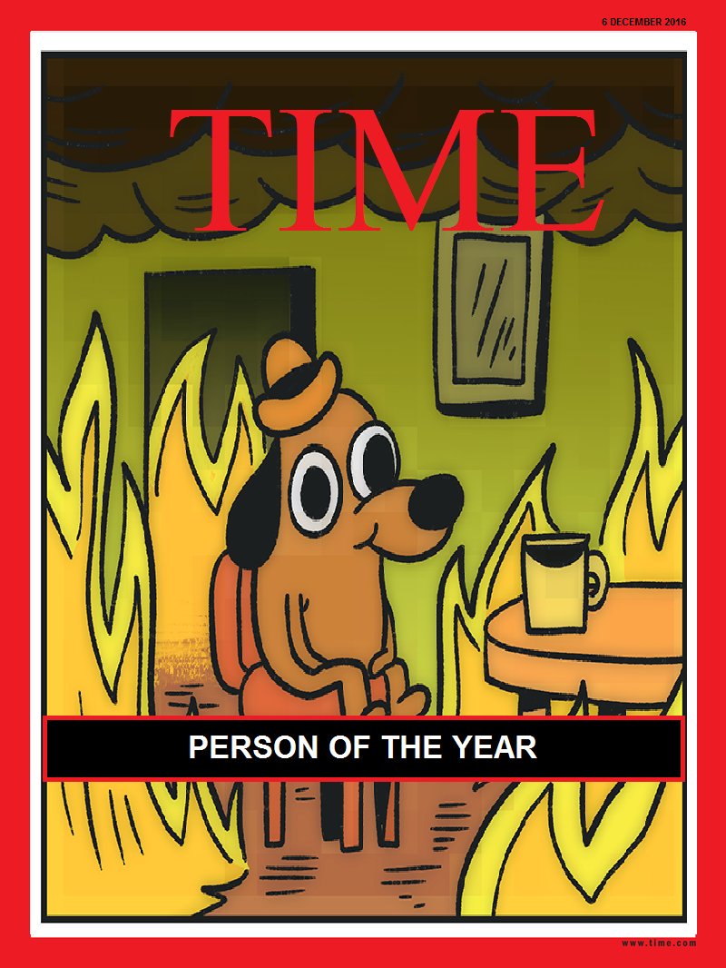 IMPHOTO This is fine Meme 101