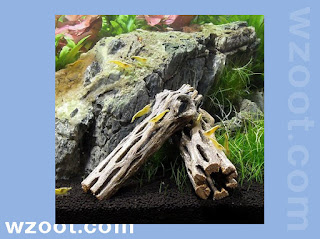 SubstrateSource Cholla Wood Aquarium & Terrarium Driftwood, 4-in, 3 count