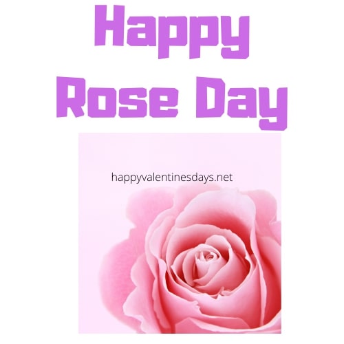 rose day images 2023