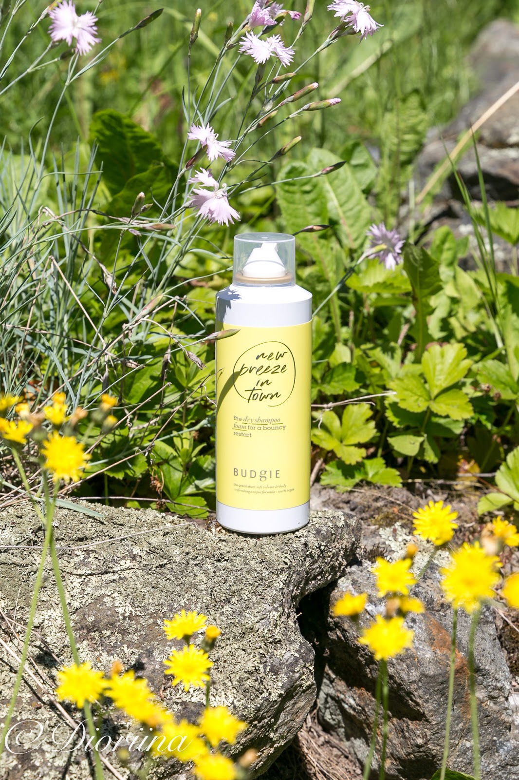 Dioriina kesäkuuta 2019