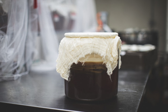 kombucha tanks, SCOBY floating on top